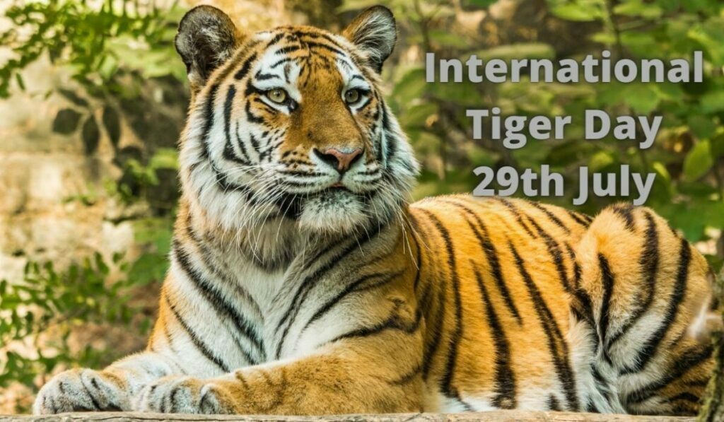 International Tiger Day 2022: Facts,Themes,History