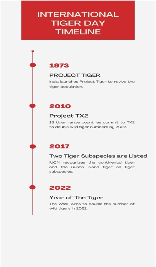 international-tiger-day-timeline